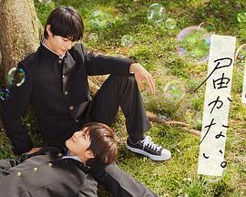 栗宫双叶影片海报剧照